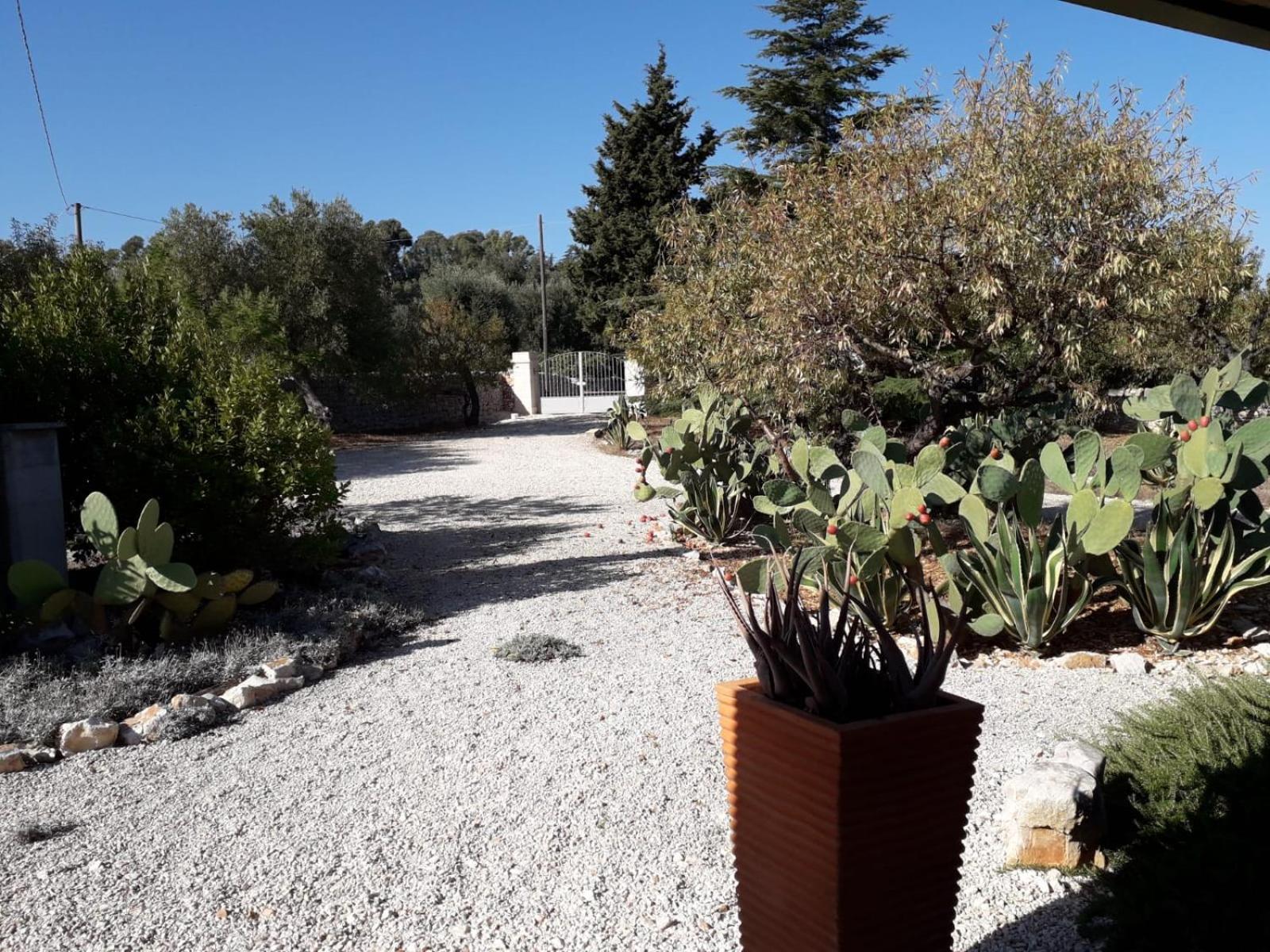 Masseria Due Torri Monopoli Værelse billede