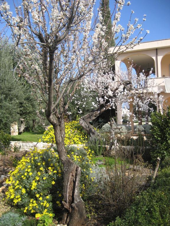 Masseria Due Torri Monopoli Værelse billede