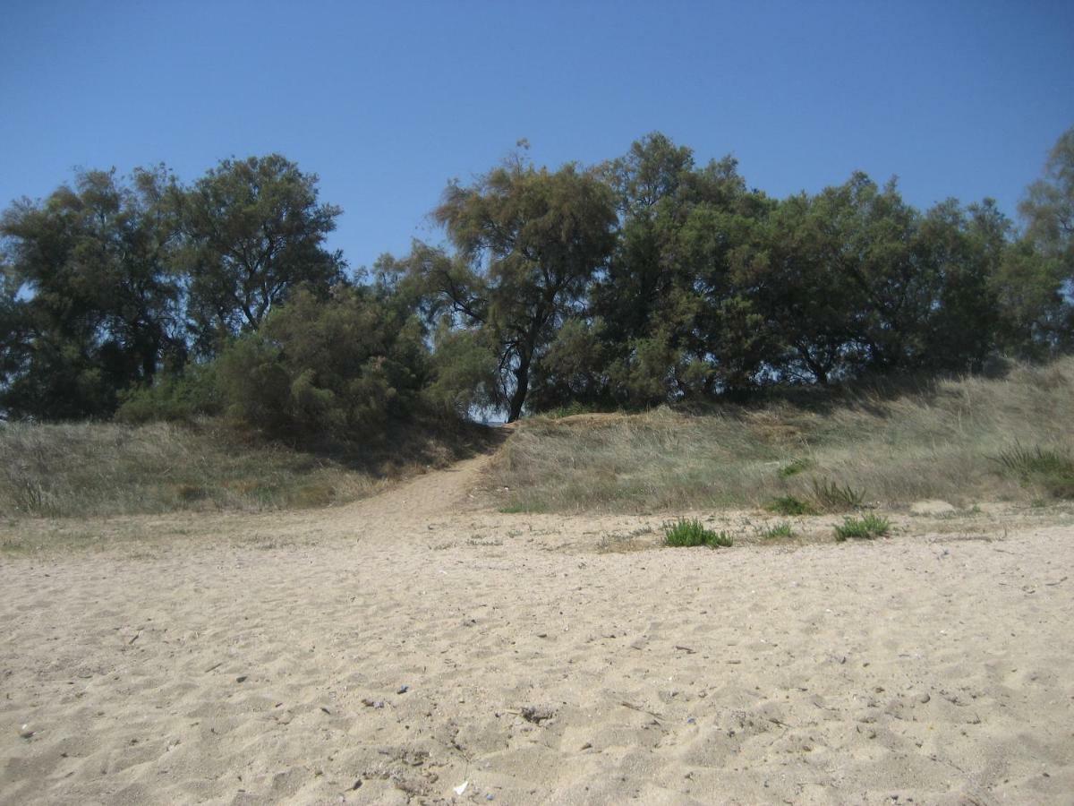 Masseria Due Torri Monopoli Værelse billede